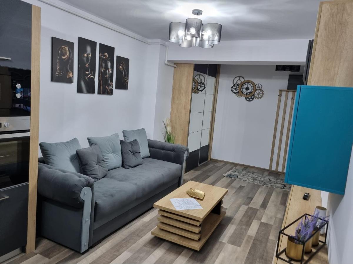 Luxury Apartments Bacau Bagian luar foto