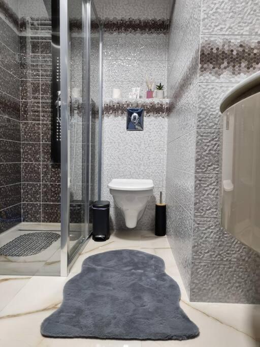 Luxury Apartments Bacau Bagian luar foto
