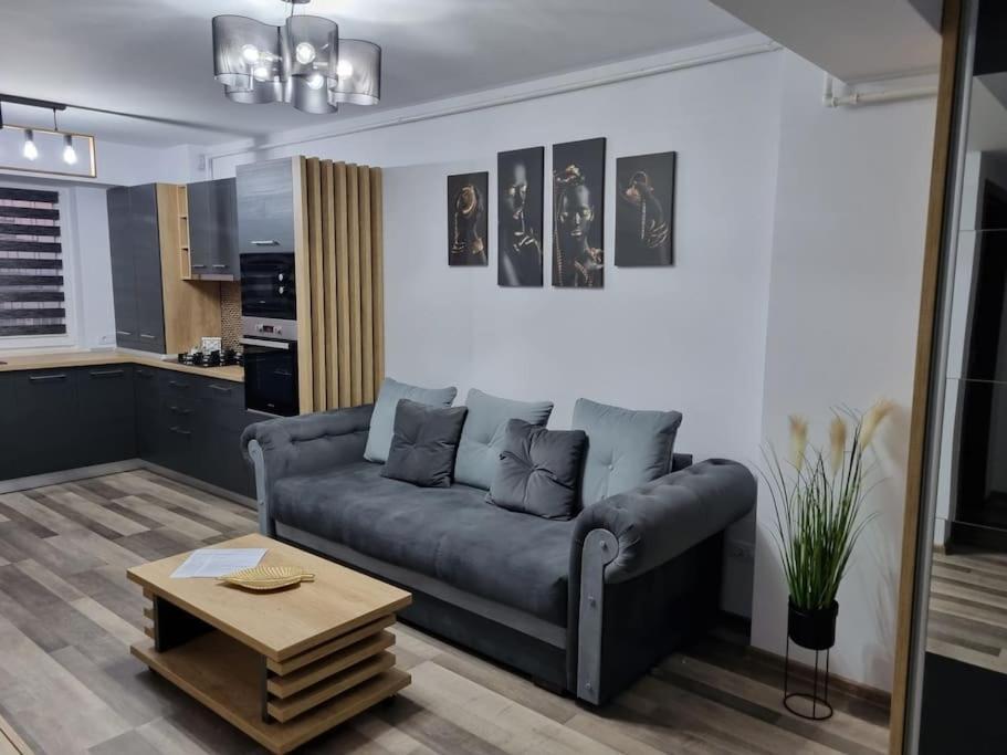 Luxury Apartments Bacau Bagian luar foto
